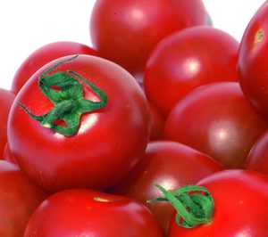 El tomate canario se promociona en Suecia