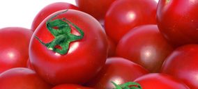 El tomate canario se promociona en Suecia