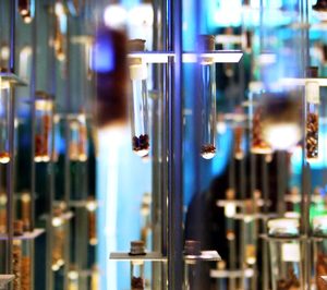 Reestructuración en Ernesto Ventós