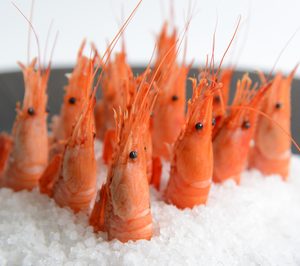 Iberconsa multiplicará sus inversiones tras la entrada de Portobello