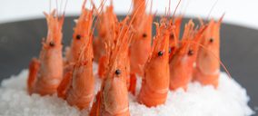 Iberconsa multiplicará sus inversiones tras la entrada de Portobello