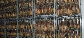 Pedro Diego supera el preconcurso