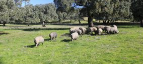 Una compañía de ibérico barcelonesa se declara en concurso