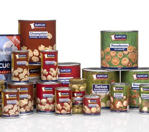 Riberebro pone en marcha un nuevo plan estratégico