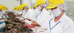 Comex Andina invierte en origen y cierra 2015 por encima de los 50 M