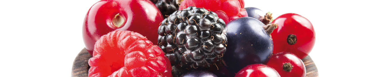 Informe 2016 del mercado de Fresas y Berries