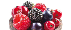 Informe 2016 del mercado de Fresas y Berries