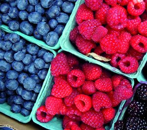 Cuna de Platero mejora sus procesos