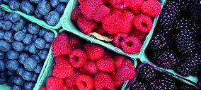 Cuna de Platero mejora sus procesos