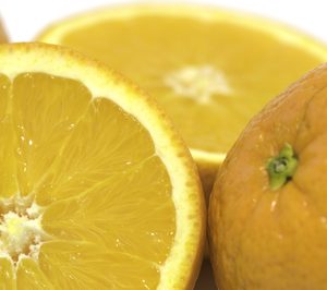 IGP Cítricos Valencianos, nueva imagen y sumando en internacionalización