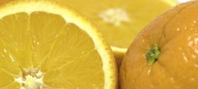 IGP Cítricos Valencianos, nueva imagen y sumando en internacionalización