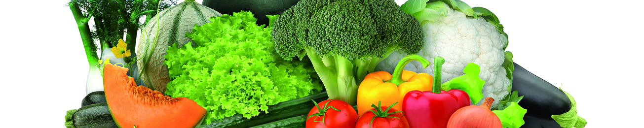 Informe 2016 de Innovación en el Sector Hortofrutícola