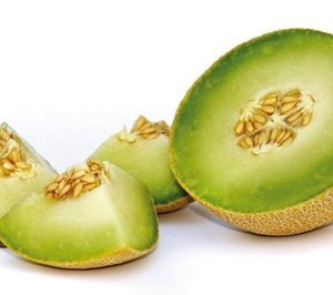 Bayer presenta el nuevo melón Galkia