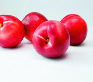 First Fruit duplicó ventas en 2015