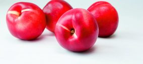 First Fruit duplicó ventas en 2015