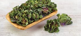 Tozer Seeds identifica su desarrollo de col híbrida en Kalettes