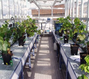 Proyecto vinícola de I+D de la Universidad de Navarra