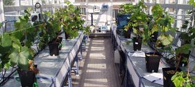 Proyecto vinícola de I+D de la Universidad de Navarra