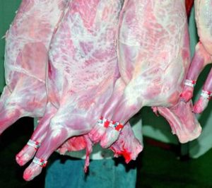 El matadero de El Barco de Ávila, a concurso