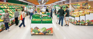Informe 2016 del sector de la distribución alimentaria en Cataluña