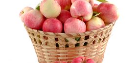 La mitad de las manzanas que se consumen en España es importada