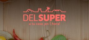 La web Delsuper.es, a la conquista del mercado online español de alimentación