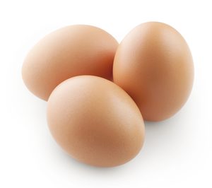 Acuerdo financiero para una productora de huevos y ovoproductos
