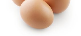 Acuerdo financiero para una productora de huevos y ovoproductos