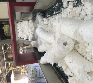 Primeros datos del proyecto EPS-FISH