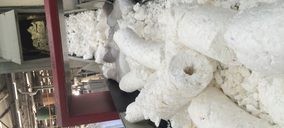 Primeros datos del proyecto EPS-FISH