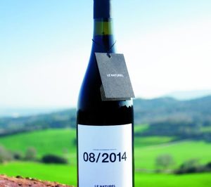 Vintae prepara un vino de Chile y crece un 40%