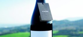 Vintae prepara un vino de Chile y crece un 40%