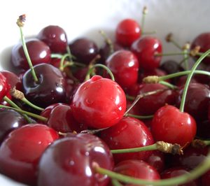 Agrupación de Cooperativas del Valle del Jerte invierte en tecnología