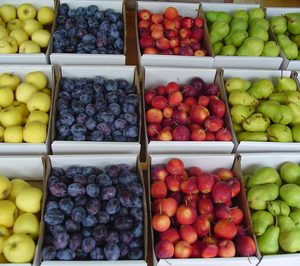 Frutas E. Sánchez incrementó sus ingresos a doble dígito en 2015