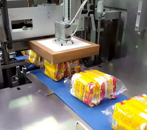 Synchropack equipa a un fabricante de noodles