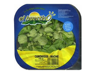 Huerta de Peralta suma invernaderos y mejora sus instalaciones