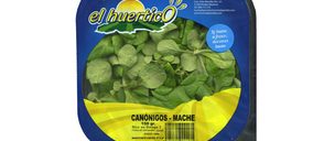 Huerta de Peralta suma invernaderos y mejora sus instalaciones