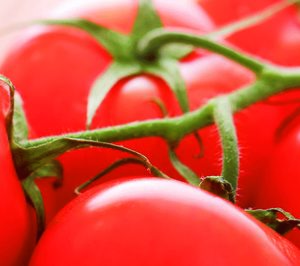 Bonnysa estudia una reorganización tras llegar a un acuerdo de refinanciación con sus acreedores