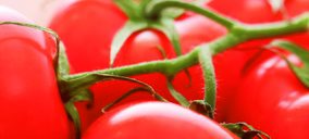 Bonnysa estudia una reorganización tras llegar a un acuerdo de refinanciación con sus acreedores