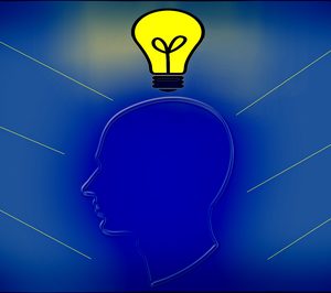 Lanzamientosen el sector No Alimentación en 2015