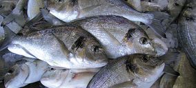 Peligra la viabilidad de Tinamenor en Cantabria