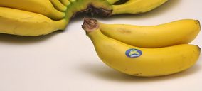 Coplaca añade un nuevo asociado