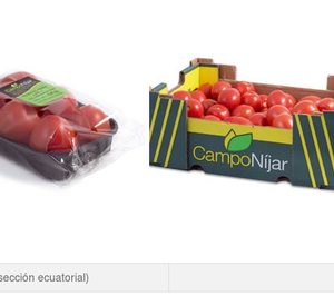 Cooperativa Coprohníjar invierte en tomate cherry