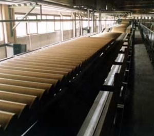 Asia marcará el crecimiento de la industria cartonera en el próximo lustro
