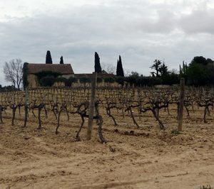 Miquel Pons destinará 1 M a su proyecto enoturístico