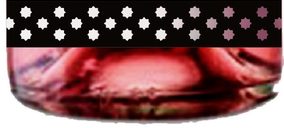 El Progreso lanza dos novedades en vinos varietales