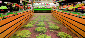 Cash Lepe continúa su expansión