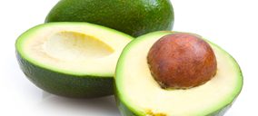 Axarfruit prevé un nuevo crecimiento en 2016