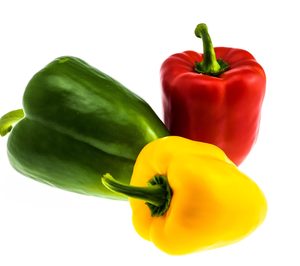 Coop. Camposol presupuesta inversiones para la próxima campaña