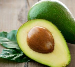García Mateo & Sinova incorpora el aguacate a su oferta en 2016